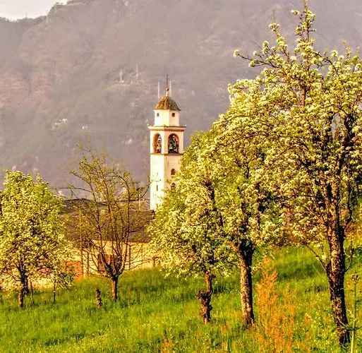 公寓 基督徒住宅公寓 *