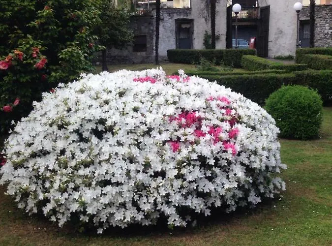 Lägenhet Residenza Christian *